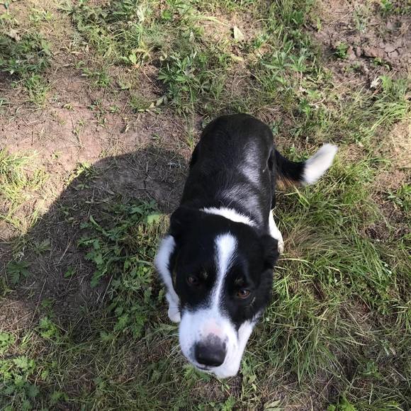 Meet your Posher, Danny - Picture 1 of 1